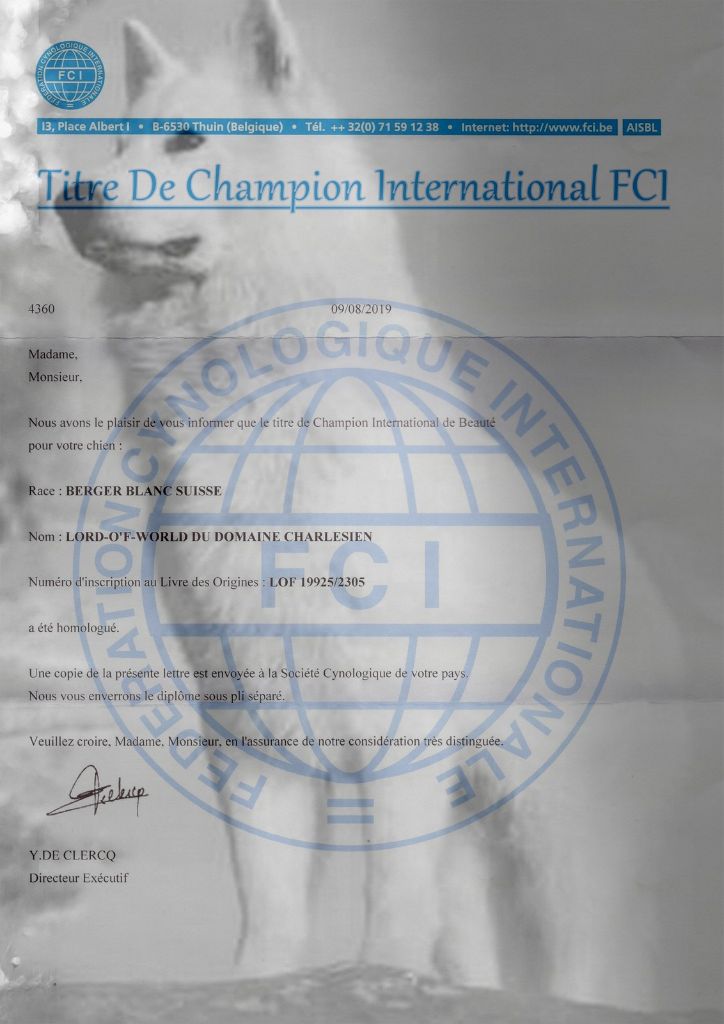du Loup de la Vieille Eglise - Champion international de la FCI