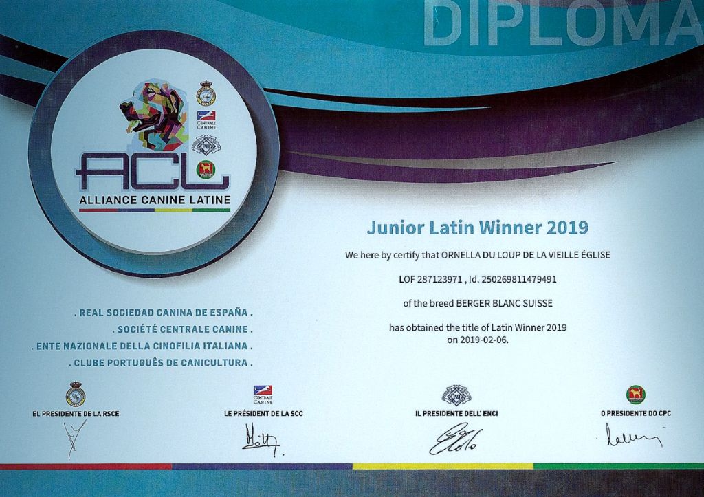 du Loup de la Vieille Eglise - Junior latin Winner 2019 